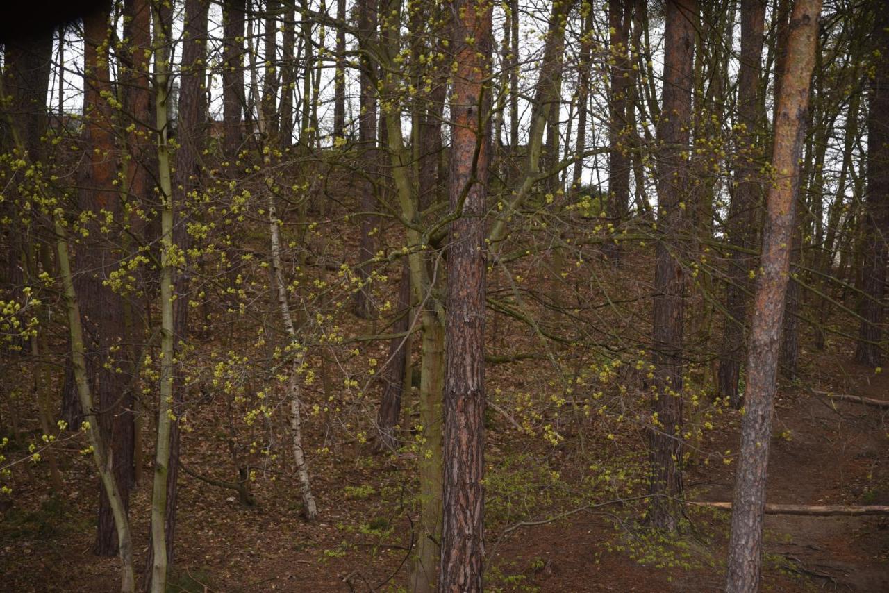 Brat Lata Pokoje Goscinne Сопот Экстерьер фото